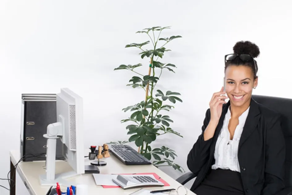 Sales Incentive Program